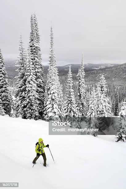 Wyścigi Na Rakietach Śnieżnych Stan Montana - zdjęcia stockowe i więcej obrazów Biały - Biały, Czynność, Drzewo