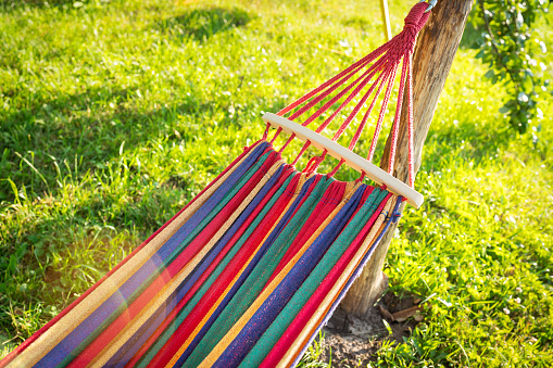 A bright multi-colored hammock hangs on a tree, warm sunlight. Summer, vacation, vacation