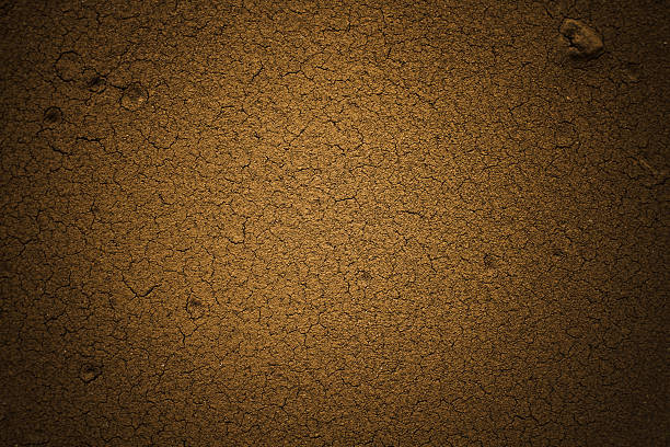 Natural dry land background