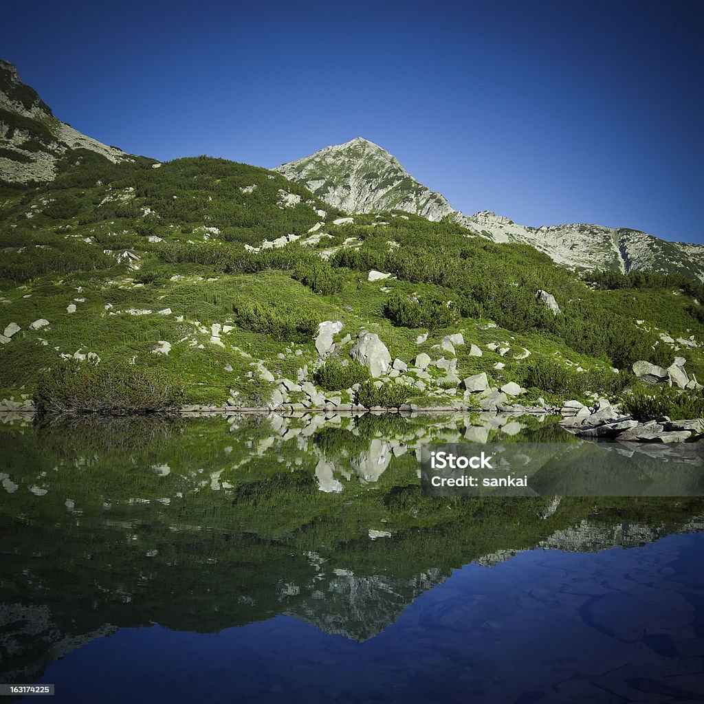 Lago nas montanhas Pirin - Foto de stock de Alpes europeus royalty-free