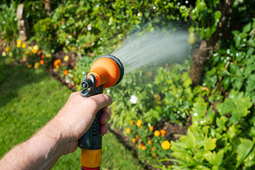 Close-up of a hand adjusting a sprinkler watering the lawn