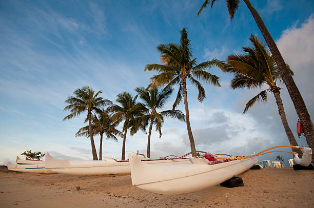 istock Group of outrigger conoes on the beach 163176632