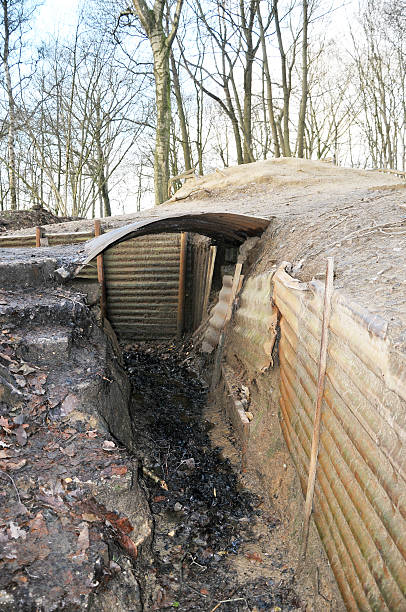 ww1 rów, sanctuary drewna, ypres, belgia - world war i battlefield nobody mud zdjęcia i obrazy z banku zdjęć