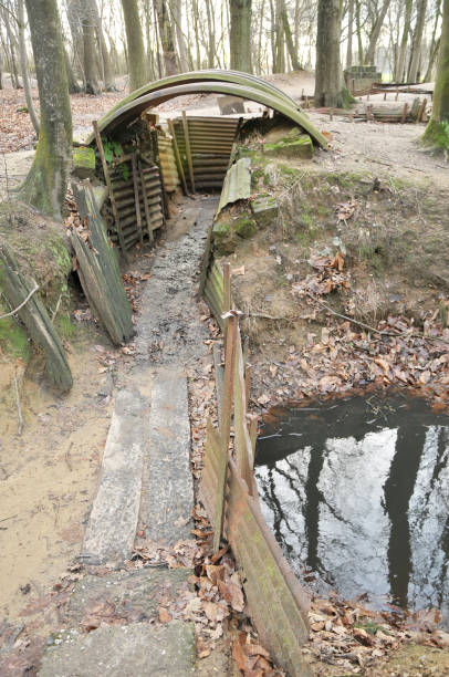 ww1 trenches, sanctuary drewna, ypres, belgia - world war i battlefield nobody mud zdjęcia i obrazy z banku zdjęć