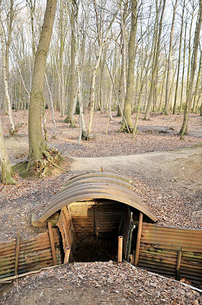 ww1 rów, sanctuary drewna, ypres, belgia - world war i battlefield nobody mud zdjęcia i obrazy z banku zdjęć