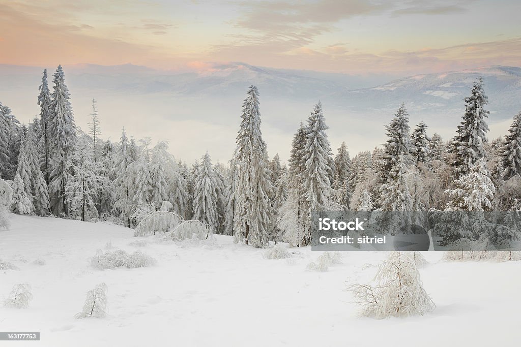 Piękny Zimowy wschód słońca zdjęcie w góry - Zbiór zdjęć royalty-free (Bez ludzi)