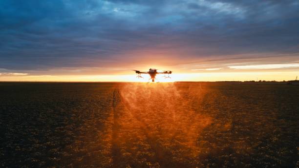 drone agricolo volare nel tramonto sopra il campo e spruzzare - inquadratura da un aereo foto e immagini stock