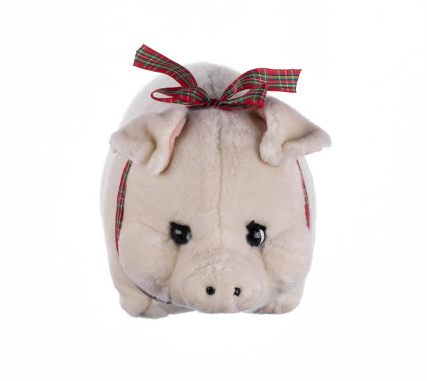 istock white cute plush soft toy pig isolated on white background 1631816384