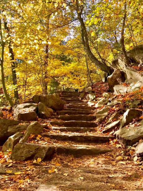 istock Fall Foliage in New York 1631826582