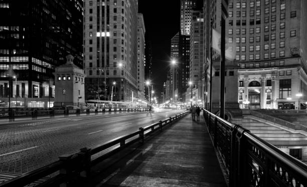 istock Chicago Night Cityscape. 1631831957