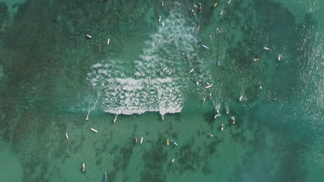 Top down aerial shot of hundreds of surfers catching waves at the popular surfing and holiday destination at Waikiki beach