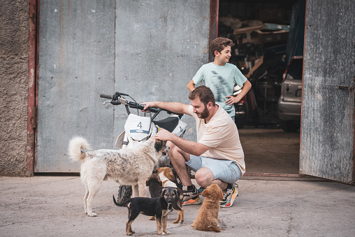 Young man and his brother testing small cross-country bike with stray dogs in front of repair shop