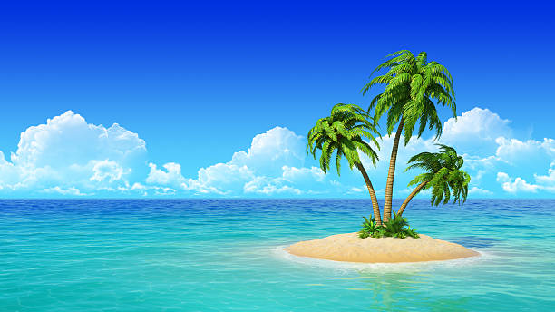 Tropical island with palms. Desert tropical island with palm tree. Concept for rest, holidays, resort. desert island stock pictures, royalty-free photos & images
