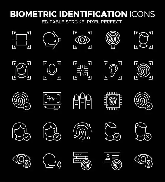 Vector illustration of Biometric Identification Icon Set - Fingerprint, Facial Recognition, Eye Scan Symbols