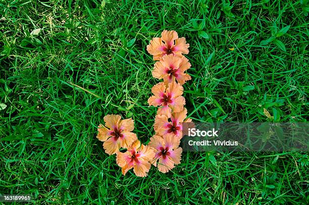 Photo libre de droit de Fleurs Dans Un J De Formation Dans Un Luxuriant Grass Field banque d'images et plus d'images libres de droit de Couleur