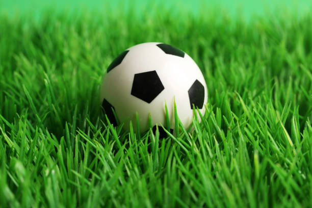 istock Soccer ball on a grass pitch 1631900011