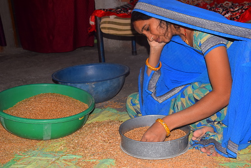 Indian rural woman cleaning wheat at home, cleaning wheat, rural setting