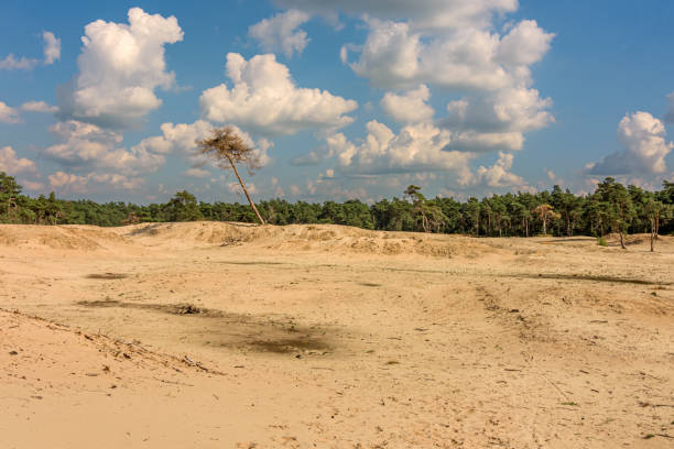Sahara Nature Park near Ommen