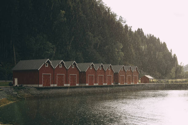 casas de madeira vermelhas na costa de um fiorde na noruega em tempo chuvoso - meteorology rain fog forest - fotografias e filmes do acervo