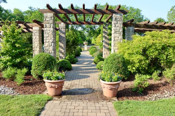 istock Pathway in the Garden 1631941291