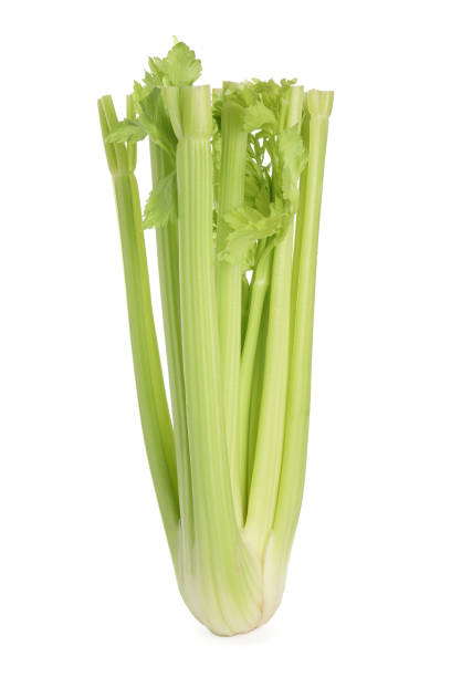 istock Fresh ripe green celery isolated on white 1631952009