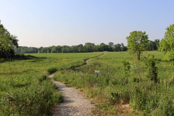 istock Hiking Trail in the Field 1631963853