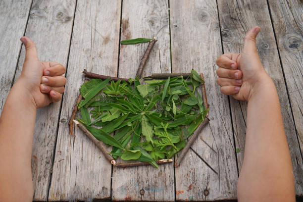 Summer crafts apple made from green leaves and dry sticks. DIY. The development of imagination. step by step