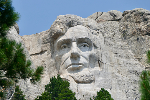 This shot captures solely President Abraham Lincoln sculpted out of the rock at Mount Rushmore, framed by pines.