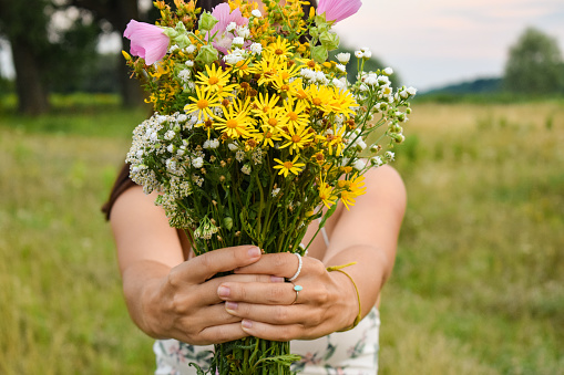 Focus shifts bouquet multiracial young woman stands picturesque meadow at twilight. Face remains hidden behind bouquet wildflowers, drawing attention to vibrant colors and enchanting atmosphere scene