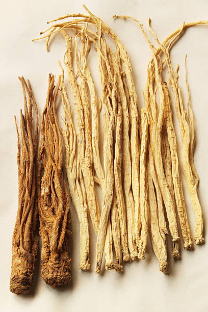 Chinese medicine It's the chinese medicine,which are named codonopsis pilosula and angelica,people could buy it in the chinese medicine shop usually in china,it have a high demand in the market,there are many company would use the photo to do advertisement. codonopsis pilosula stock pictures, royalty-free photos & images