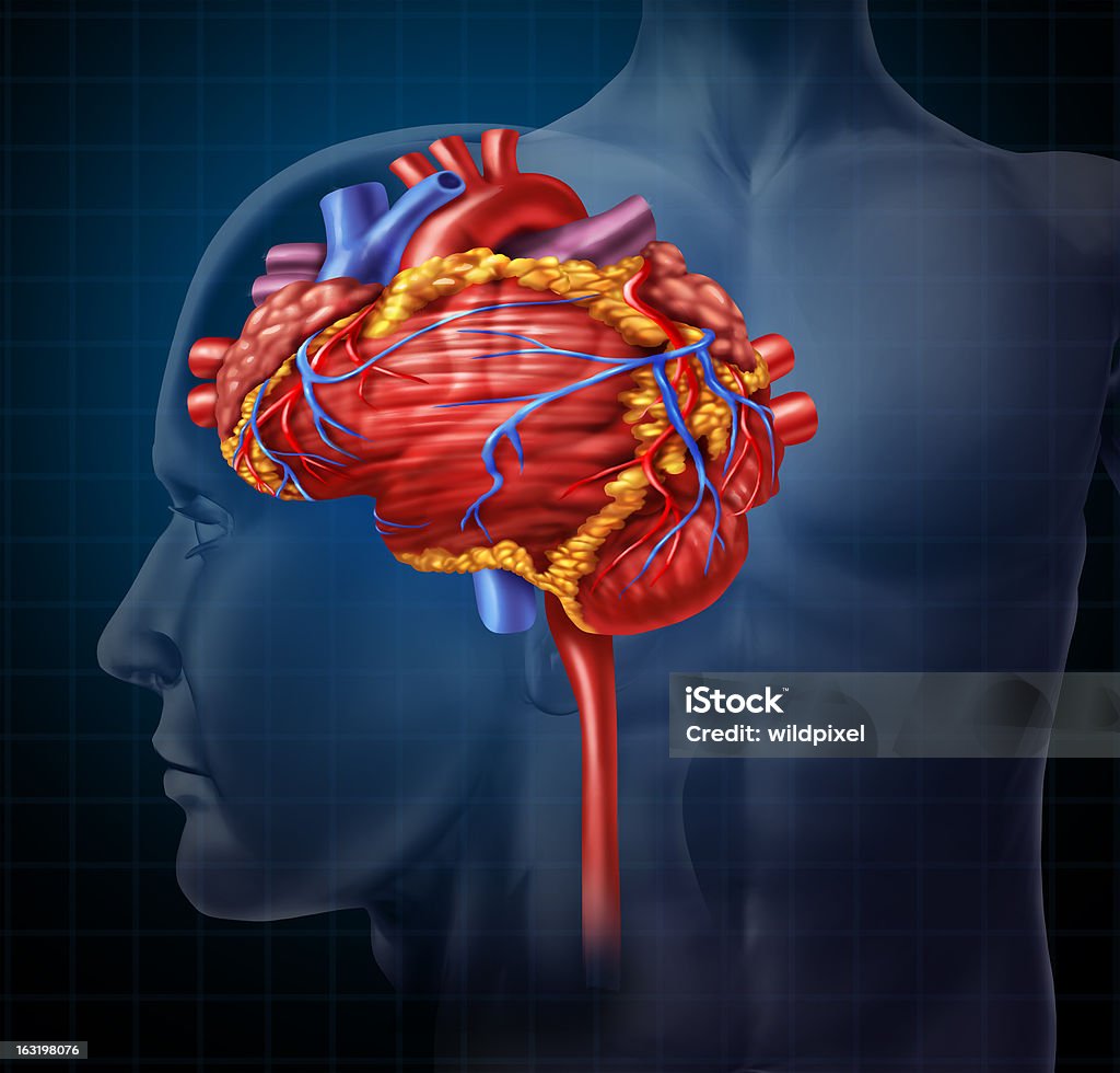 Сердце головного мозга - Стоковые фото Биология роялти-фри