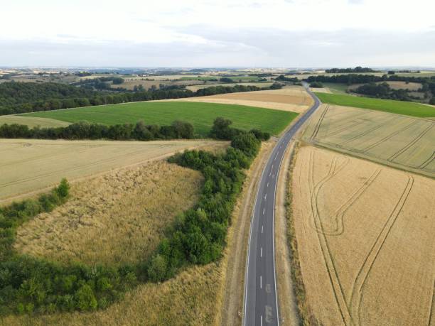 istock View from above of a long road between trees and agriculture fields in summer 1631986722