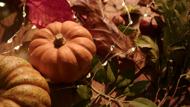 Seasonal Autumn Decoration