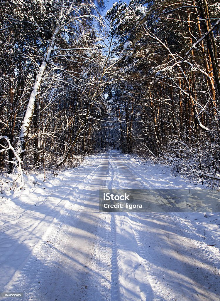 Im winter road - Lizenzfrei Baum Stock-Foto