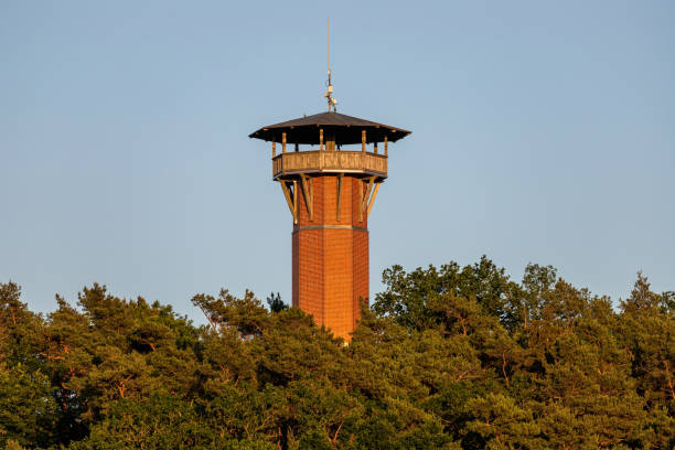 istock observation tower in Krakow am See, Germany 1632003797