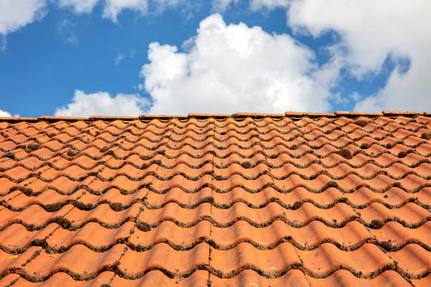 istock roof with moss-grown shingles against the sky 1632007030