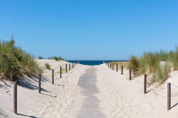 istock path through the dunes to the Baltic Sea 1632008690
