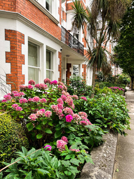 hortênsia em frente à casa de tijolos vermelhos em londres - apartment row house comfortable house - fotografias e filmes do acervo