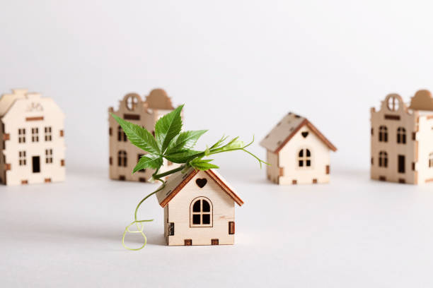 movimiento de modernización, casas a prueba de futuro, carbono neto cero, concepto de adaptación de edificios. casas de juguete con hoja verde en el techo sobre fondo blanco. - retrofitting fotografías e imágenes de stock