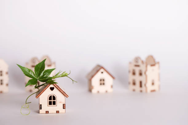 istock retrofit movement, future proofing homes, net zero carbon, adapting buildings concept. toy houses with green leaf on roof on white background. 1632016004