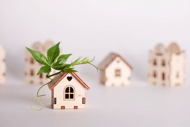 movimento de retrofit, casas à prova de futuro, carbono líquido zero, adaptando o conceito de edifícios. casas de brinquedo com folha verde no telhado no fundo branco. - retrofitting - fotografias e filmes do acervo