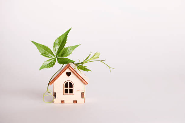 istock retrofit movement, future proofing homes, net zero carbon, adapting buildings concept. toy house with green leaf on roof on white background. 1632017083