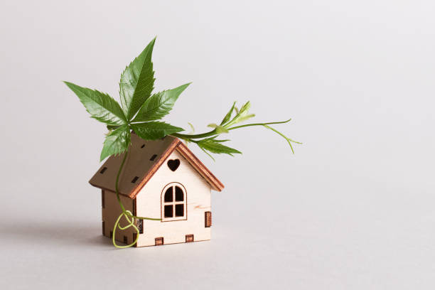 istock retrofit movement, future proofing homes, net zero carbon, adapting buildings concept. toy house with green leaf on roof on white background. 1632017623