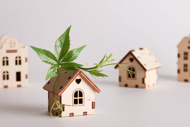 istock retrofit movement, future proofing homes, net zero carbon, adapting buildings concept. toy houses with green leaf on roof on white background. 1632017624