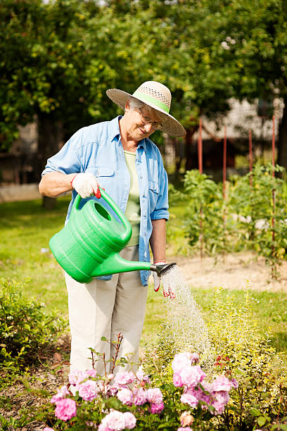 donna anziana deliziosi a fiori - manual worker glasses gardening domestic life foto e immagini stock