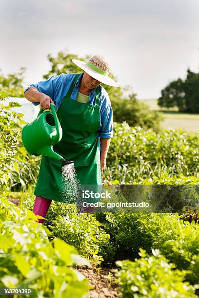 Mujer Senior Riego De Una Planta Foto de stock y más banco de imágenes de Actividad - Actividad, Adulto, Agarrar