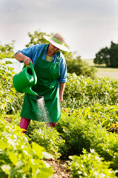 istock Senior woman watering a plant 163204390