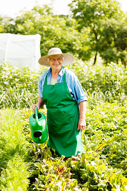 istock Senior woman watering a plant 163204391