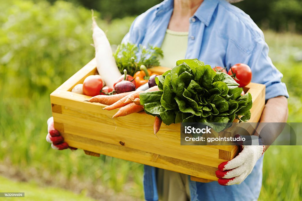 Senior Frau hält Geschenkbox mit Gemüse - Lizenzfrei Bauernberuf Stock-Foto
