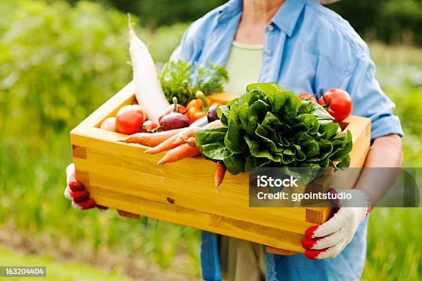Senior Frau Hält Geschenkbox Mit Gemüse Stockfoto und mehr Bilder von Bauernberuf - Bauernberuf, Gemüse, Holzkiste